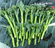 西蘭苔種子芥蘭種籽芥菜苔種子四季春種耐熱陽(yáng)臺庭院蔬菜種子大全 西蘭苔種子 一包約300粒 曬單實(shí)拍圖