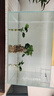 YEE魚(yú)缸金晶超白金魚(yú)裸缸8060家用客廳桌面小草缸龜缸玻璃生態(tài)溪流缸 【送上樓】60*40*40cm*8mm金晶超白 曬單實(shí)拍圖