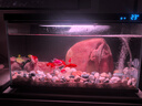 米家（MIJIA）智能生態(tài)魚缸定時(shí)喂食智能魚缸+畫法幾何增氧泵套裝 曬單實(shí)拍圖