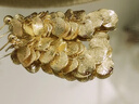 Qlady金屬氣質(zhì)小眾流蘇獨(dú)特耳環(huán)女2025新款高級(jí)感銀耳飾女耳墜耳釘禮物 曬單實(shí)拍圖