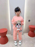 皮爾卡丹童裝女童秋裝套裝2025新款兒童洋氣運動(dòng)衛衣兩件套中小童春秋衣服 粉色 120 尺碼5~6歲【110-120cm】 曬單實(shí)拍圖