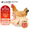 溫氏 供港三黃雞2斤  農(nóng)家土雞慢養(yǎng)走地雞 冷凍紅燒白切鹽焗煲湯 曬單實(shí)拍圖