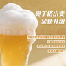奧丁格小麥白啤酒 500ml*3罐 嘗鮮裝 德國進(jìn)口精釀啤酒 曬單實(shí)拍圖