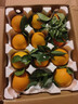 塵中仙四川愛(ài)媛38號果凍橙 時(shí)令水果 當季應季桔子橘子 年貨禮盒 A+整箱9-10斤裝70-85mm凈重8.5斤+ 曬單實(shí)拍圖