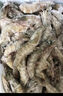 鮮京采 厄瓜多爾白蝦 凈重3斤/盒 特大號20-30規格   30-45只/盒 曬單實(shí)拍圖