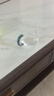 青蘋果家用玻璃杯帶把耐熱簡(jiǎn)約牛奶杯喝水杯客廳泡茶杯家庭杯子套裝 【 一人一色不混杯】摩登杯350x6 曬單實(shí)拍圖