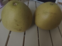 京鮮生 云南西雙版納傣柚2粒裝 單果600g+ 中秋水果 源頭直發(fā)包郵 曬單實拍圖