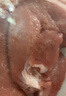  【180天白豬家庭裝】冰鮮豬腿肉1kg 曬單實(shí)拍圖