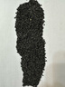四季小香蔥分多多蔥種子陽臺室內(nèi)盆栽蔥種子耐寒蔬菜種子家庭種植 高產(chǎn)鐵桿大蔥種子約4000粒5包 曬單實拍圖