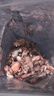 蟻淘鮮海兔子500g 滿(mǎn)籽筆管魚(yú) 魷魚(yú)籽墨魚(yú)仔烏章魚(yú)全籽小烏賊干新鮮干貨 海兔干500g約140-160個(gè) 曬單實(shí)拍圖