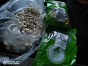 茯苓正宗特級伏苓茯苓粉茯苓塊茯苓中草藥茯苓中藥茯苓泡水喝FL 500克（統(tǒng)裝茯苓） 大貨批發(fā)祛濕 曬單實(shí)拍圖