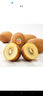 佳沛（zespri）x1號會(huì )員店聯(lián)名款陽(yáng)光金奇異果20粒禮盒單果約146-175g水果獼猴桃 曬單實(shí)拍圖