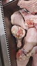 華都食品單凍翅根  凈重6斤/袋 冷凍雞翅根燒烤鹵味食材生鮮食品 曬單實(shí)拍圖