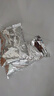 德沃多肥料紅火山巖2.5kg(1-2cm)多肉顆粒土鋪面石拌土改善土壤園藝無土栽培 曬單實拍圖