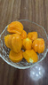 雷港正宗印尼紅肉菠蘿蜜整個果玫瑰紅水果進(jìn)口越南紅心菠蘿蜜紅色果肉 印尼紅肉菠蘿蜜10-11斤整個果 曬單實拍圖