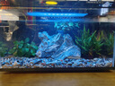米家（MIJIA）智能生態(tài)魚(yú)缸定時(shí)喂食智能魚(yú)缸+畫(huà)法幾何增氧泵套裝 曬單實(shí)拍圖