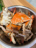 舟山梭子蟹鮮活特大野生大螃蟹新鮮冷凍海鮮水產(chǎn)海蟹飛蟹白蟹順豐 7-9兩/只【5斤凈重 特大肥壯】 曬單實(shí)拍圖