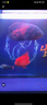 魚呼吸魚缸漁池循環(huán)變頻潛水泵 水族箱安靜抽水 水陸兩用 魚池假山過濾 40W【流量3500-6000L可調(diào)】 曬單實拍圖