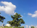 稻草人 人教版快樂(lè )讀書(shū)吧三年級上冊 曹文軒、陳先云主編 語(yǔ)文教科書(shū)配套書(shū)目  曬單實(shí)拍圖