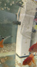 森森 小鯉魚(yú)缸過(guò)濾器凈水循環(huán)三合一內(nèi)置水族箱過(guò)濾系統(tǒng)XQP-500F 6W 曬單實(shí)拍圖