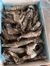 1號會(huì )員店 泰國活凍黑虎蝦 斑節對蝦 海鮮水產(chǎn) 凈重2斤（31-40只） 曬單實(shí)拍圖