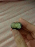 酷奇象 遼寧丹東花香藍莓王【多地次日達】新鮮孕婦L25藍莓禮盒怡顆藍莓 凈重100g-125g*4盒【蕞劃算】 品質(zhì)藍莓【單果15-18mm+】 曬單實拍圖