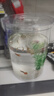 燕之雁懶人魚缸+仿真水草造景+照明led燈 輕松換水 圓柱形 金魚缸斗魚缸 曬單實拍圖