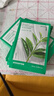 悅詩(shī)風(fēng)吟（Innisfree）鮮萃肌活面膜[綠茶]10片保濕補水舒緩修護提亮改善暗沉 曬單實(shí)拍圖