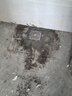 雨虹飛魚地漏加厚304不銹鋼防臭器衛(wèi)生間通用下水道原色拉絲淋浴地漏 曬單實(shí)拍圖