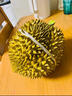 鮮其泰國金枕榴蓮樹(shù)熟新鮮水果整箱批發(fā)多地次日達進(jìn)口巴掌榴蓮鮮果 A級【普通果型】人工挑選 5-6斤凈重【30年老樹(shù)干包果】包4房 曬單實(shí)拍圖