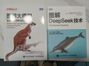 圖解大模型+圖解DeepSeek技術(shù) 京東套裝2冊 圖靈出品 曬單實(shí)拍圖