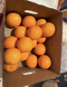 新奇士（Sunkist） 澳洲黑標晚熟臍橙4斤禮盒裝 單果180g起 生鮮水果禮盒 曬單實(shí)拍圖