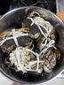 【活蟹】仲秋大閘蟹鮮活水產(chǎn)生鮮禮盒中秋送禮 全母蟹3.2-3.5兩  6只 曬單實(shí)拍圖