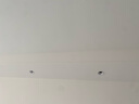 雷士（NVC）LED小山丘射燈客廳過道背景嵌入式高顯色洗墻7瓦暖白【蓮華】白杯 曬單實(shí)拍圖