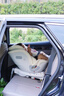 Best Baby玄龍pro兒童安全座椅智能通風(fēng)0-4-12歲寶寶嬰兒車載安全座椅 智能通風(fēng)版-拂曉白 曬單實(shí)拍圖