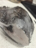 尚致鰈魚(yú)身碟魚(yú)格陵蘭比目魚(yú)深海魚(yú)中段鴉片魚(yú)整條鰈魚(yú)頭海鮮禮盒 【5條獨立裝】鰈魚(yú)身 4000g 曬單實(shí)拍圖