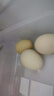 Member's Mark 精選鮮雞蛋 30枚盒裝 1.5kg 曬單實拍圖