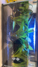 瘋狂水草魚(yú)缸造景水草泥和種子底砂裝飾生態(tài)套餐水草用品 二代水草泥5斤+小對葉種子 曬單實(shí)拍圖