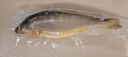 鮮京采 冷凍三去黃花魚(yú)(寧德大黃魚(yú))1700g (5條裝)  禮盒 生鮮海魚(yú) 中秋 曬單實(shí)拍圖