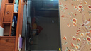 TCL電視 65Q9L Pro 65英寸 QD-Mini LED 蝶翼星曜屏 萬(wàn)象分區 絢彩XDR 4500nits 超薄 電視機 低反屏 65英寸 曬單實(shí)拍圖