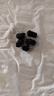 同仁堂品牌北京同仁堂黑桑葚干桑椹干500g即食免洗搭枸杞桑葚泡水養(yǎng)生茶 曬單實拍圖