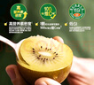 佳沛（zespri）新西蘭  陽(yáng)光金果16粒經(jīng)典果單果 77-103g 中秋水果禮盒 獼猴桃 曬單實(shí)拍圖