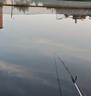 太宇神控天下4.5米魚(yú)竿手竿釣魚(yú)竿28調(diào)碳素超輕超硬釣魚(yú)桿臺(tái)釣竿 曬單實(shí)拍圖