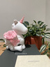 ROSEONLY 諾誓永生花厄瓜多爾進(jìn)口花Baby寶貝甜心兔獨(dú)角獸送女友高級七夕禮物女 HOT-唯愛獨(dú)角獸-Baby寶貝-中號-粉色 曬單實(shí)拍圖