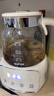 蘇泊爾（SUPOR）養生壺 燒水壺1L迷你養生杯 全玻璃 煮茶器 恒溫壺 家用煮茶熱水壺保溫全玻璃SW-10Y05Q 曬單實(shí)拍圖