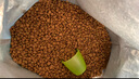 潔客（Drymax）膨潤土豆腐砂混合貓砂懶人貓砂2.5kg*4袋共10kg整箱裝 曬單實(shí)拍圖