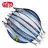 純色本味 冷凍精品俄羅斯秋刀魚(yú)凈重2斤 燒烤食材 生鮮魚(yú)類(lèi) 曬單實(shí)拍圖