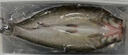 源頭地丹江口翹嘴鲌魚(yú)新鮮生態(tài)淡水十堰大白刁子魚(yú)白魚(yú)整條送禮湖北特產(chǎn) 5斤/裝（每條1-1.3斤左右） 2.5kg 曬單實(shí)拍圖