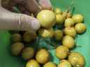 愛(ài)鮮摘農場(chǎng) 廣東石硤儲良龍眼【JD順豐-多地次日達】石峽桂圓水果禮盒送禮 儲良龍眼｜老饕必選【甜爆了】 精選果丨5斤裝【超值推薦】?jì)?.5 曬單實(shí)拍圖