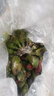 靜益樂源廣西小米蕉 粉蕉 新鮮香蕉水果 凈重9斤裝 曬單實(shí)拍圖